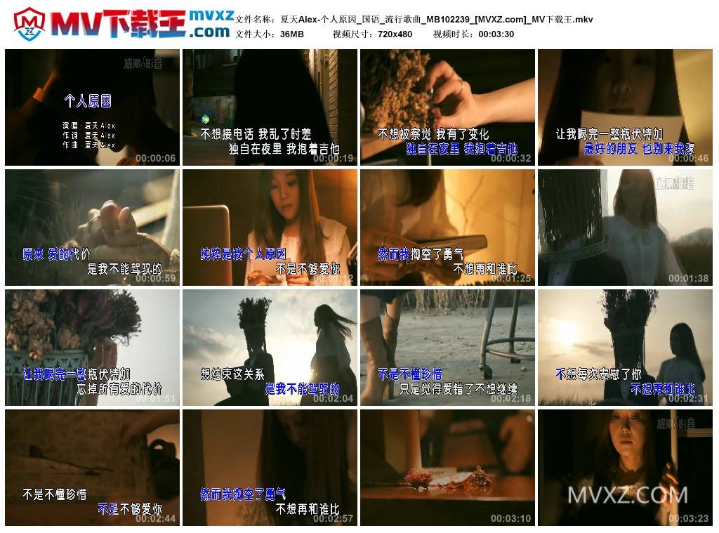夏天Alex-个人原因_国语_流行歌曲_MB102239